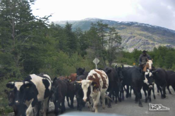 Encontrando trânsito na Carretera Austral, no sul do Chile